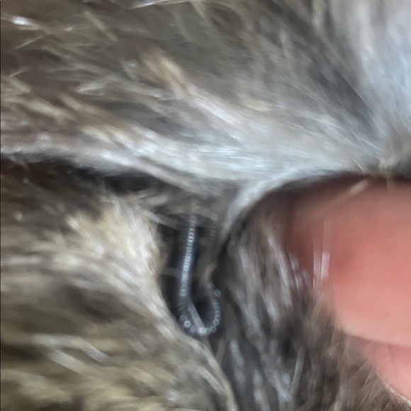 Dyed Rabbit Fur Vest - Picture 4 of 10